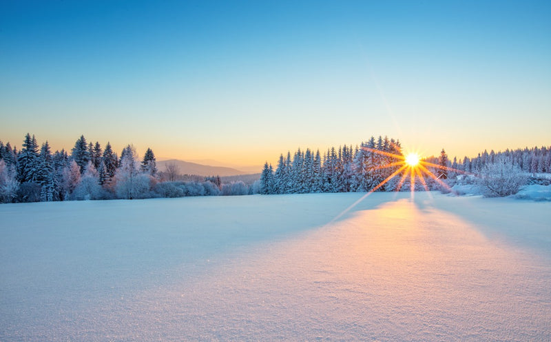 Winter Sunrise