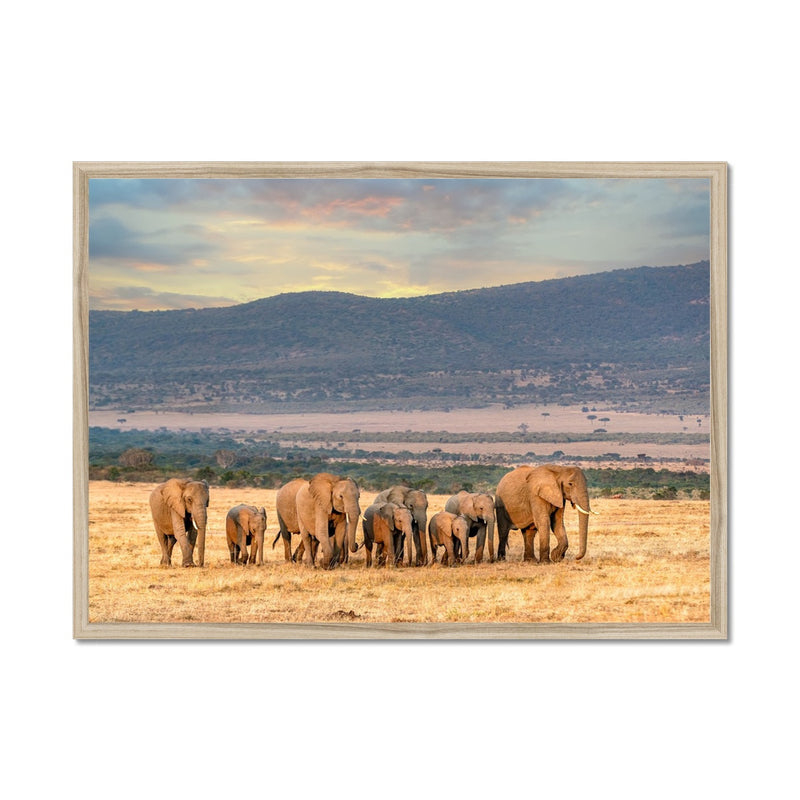 The Family Framed Print