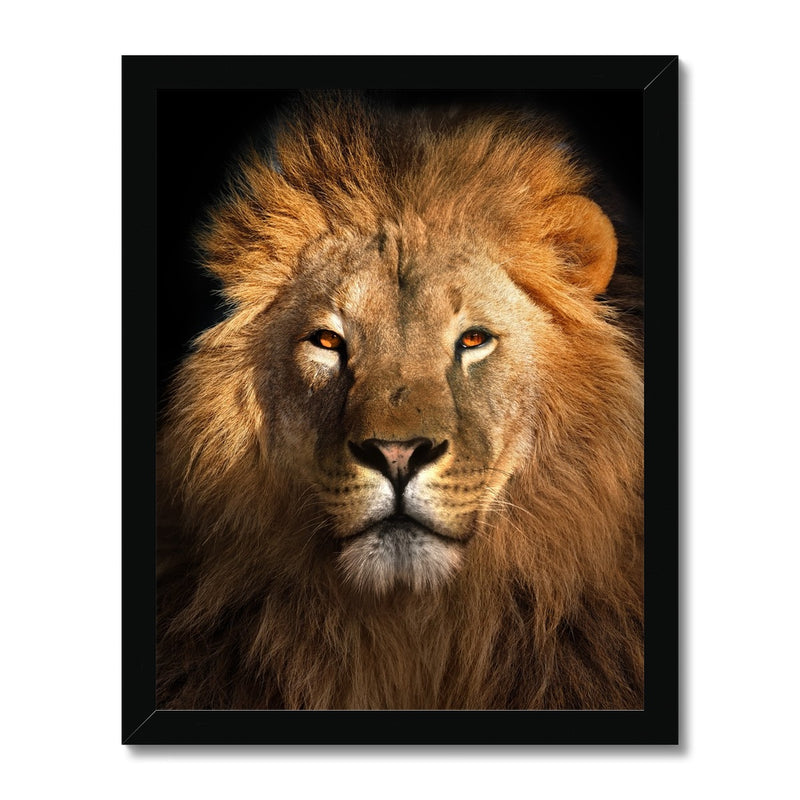 The Mighty  Framed Print