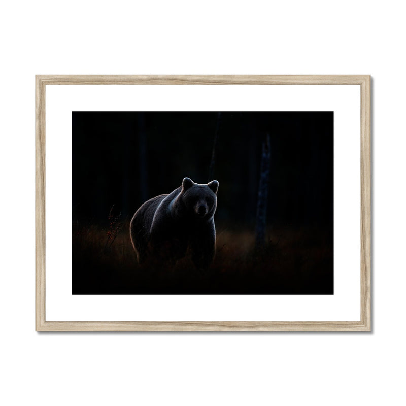 In The Shadows Framed & Mounted Print