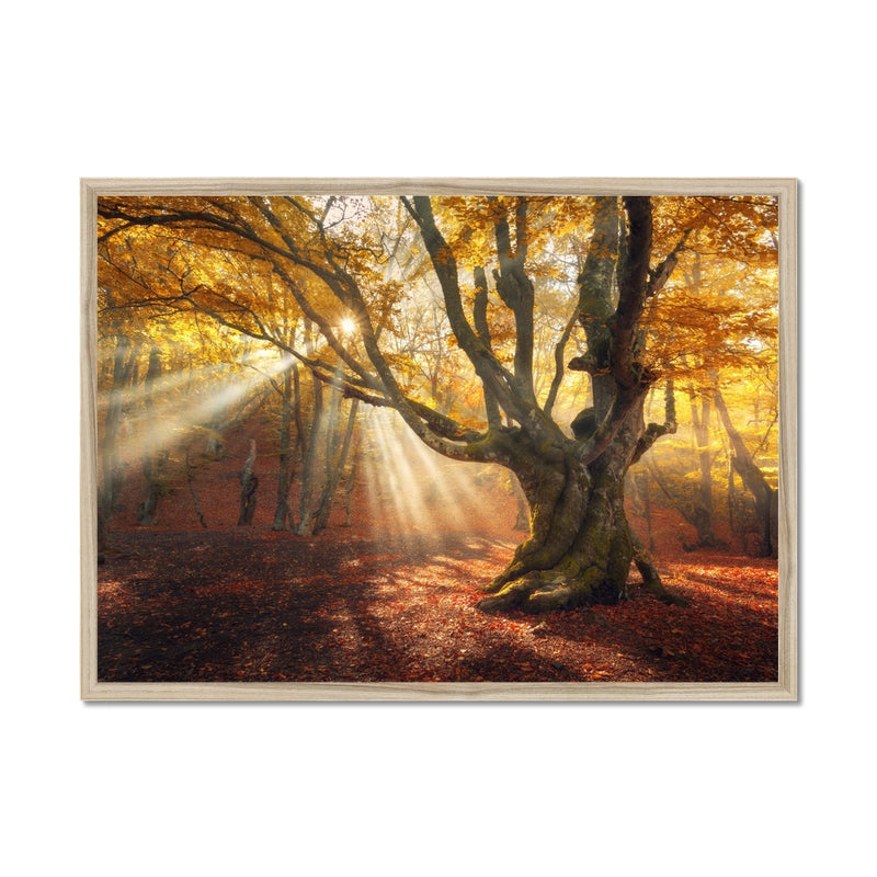 Falls Touch Framed Print