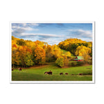 Autumn Appalachian Framed Print