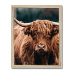 Highland Fur Framed Print