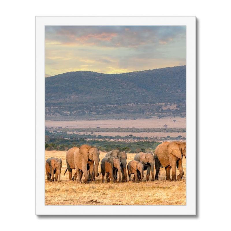 The Family Framed Print