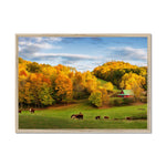 Autumn Appalachian Framed Print