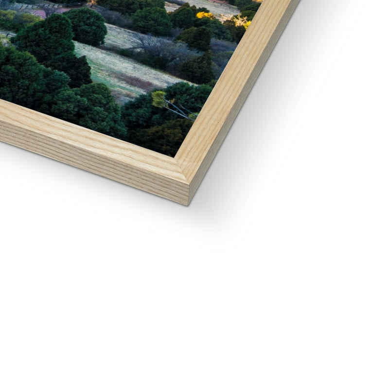 Garden of the Gods Framed Print