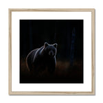 In The Shadows Framed & Mounted Print