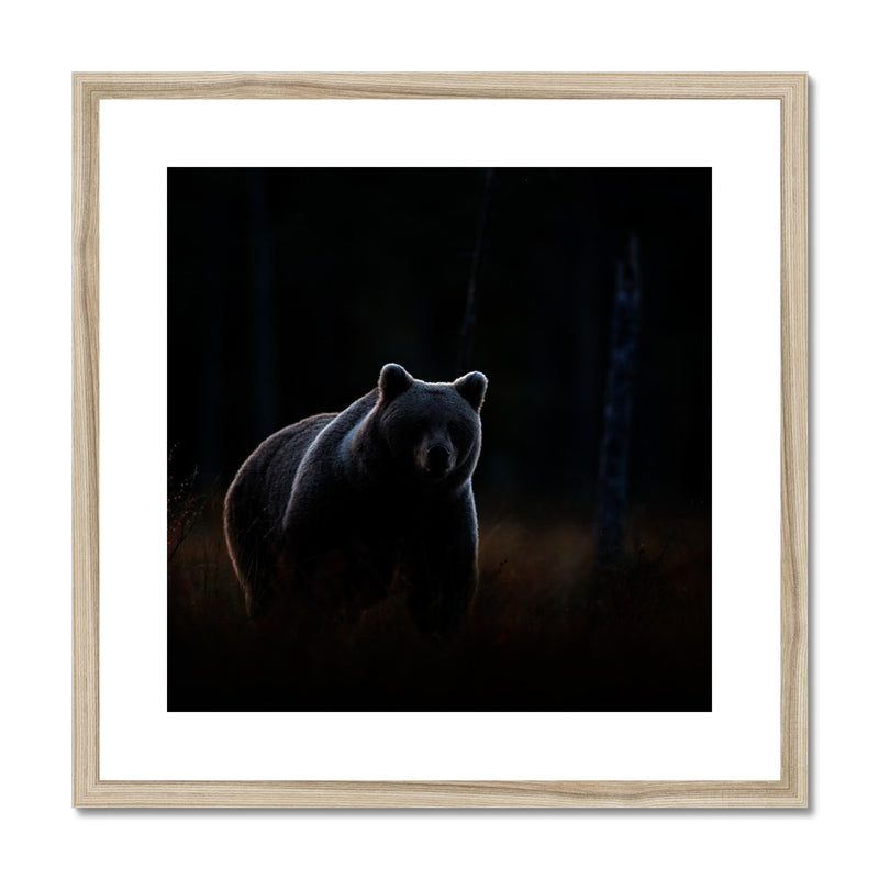 In The Shadows Framed & Mounted Print