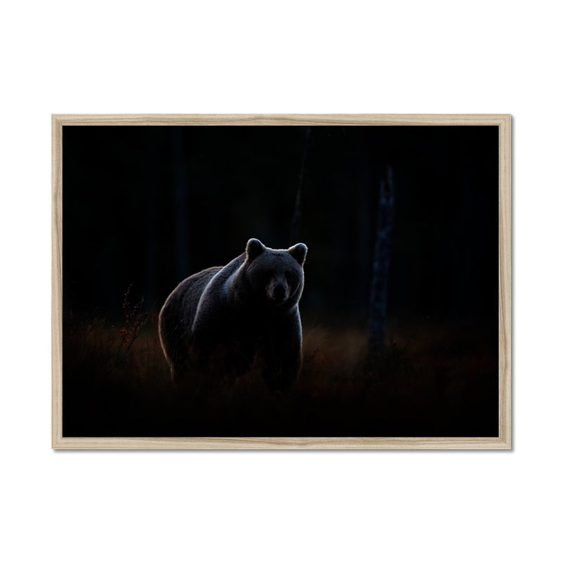 In The Shadows Framed Print