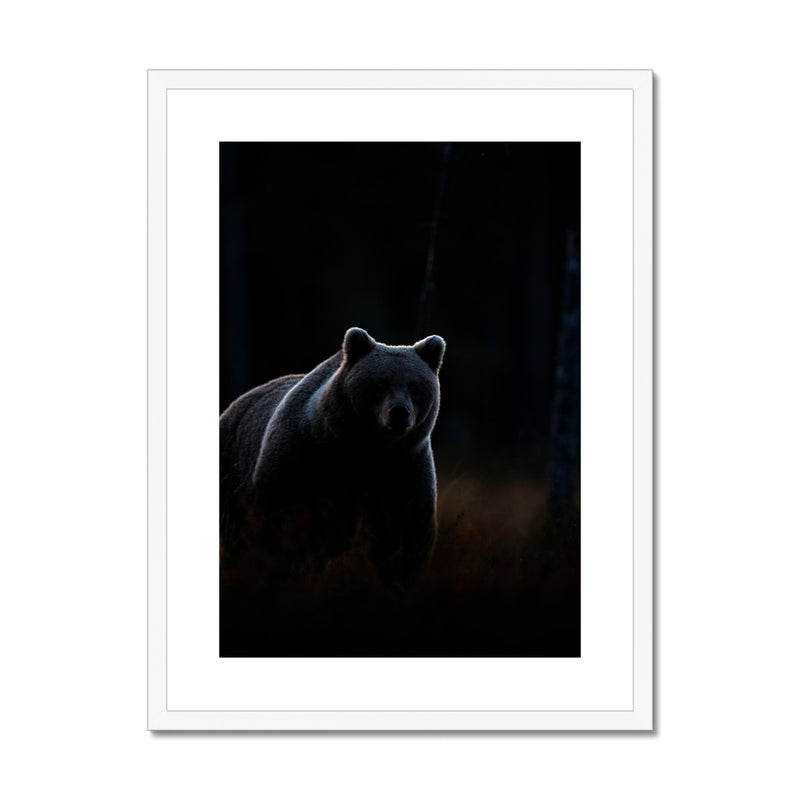 In The Shadows Framed & Mounted Print