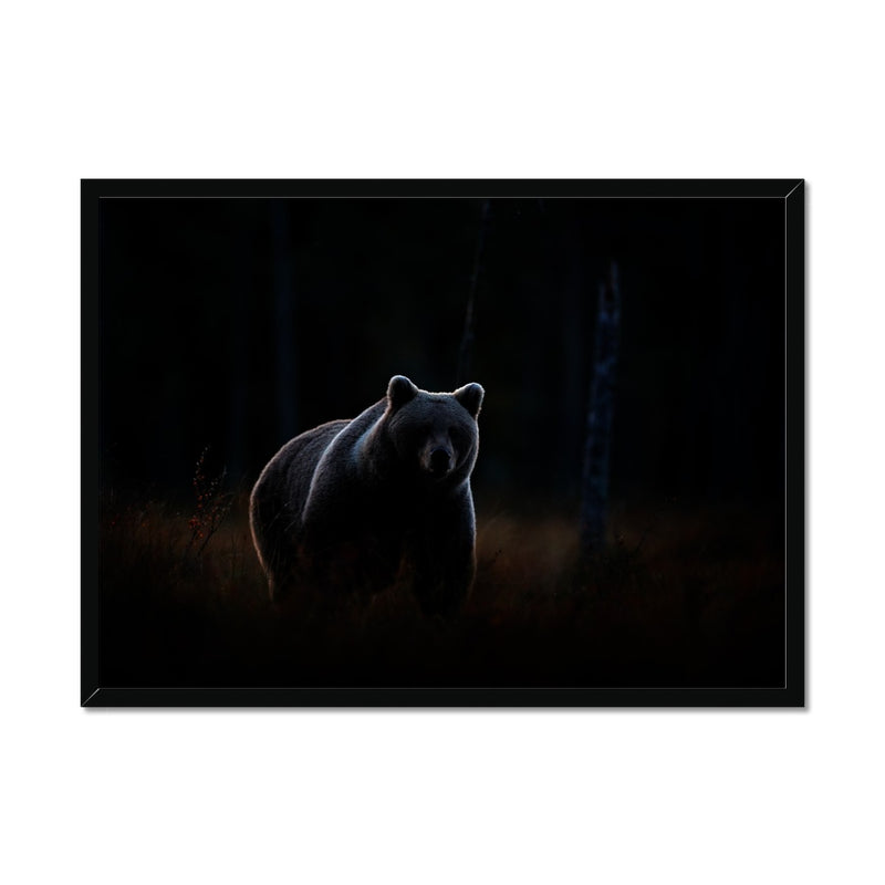 In The Shadows Framed Print