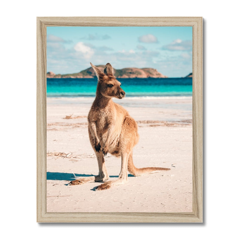 Beach Hopper Framed Print