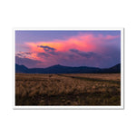 Easy Pastures Framed Print