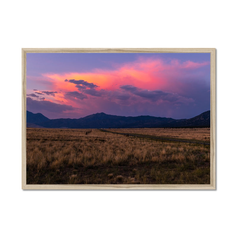 Easy Pastures Framed Print