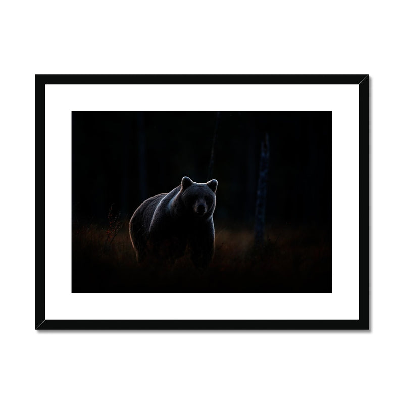 In The Shadows Framed & Mounted Print