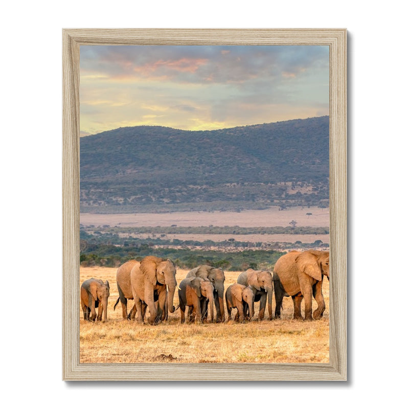 The Family Framed Print