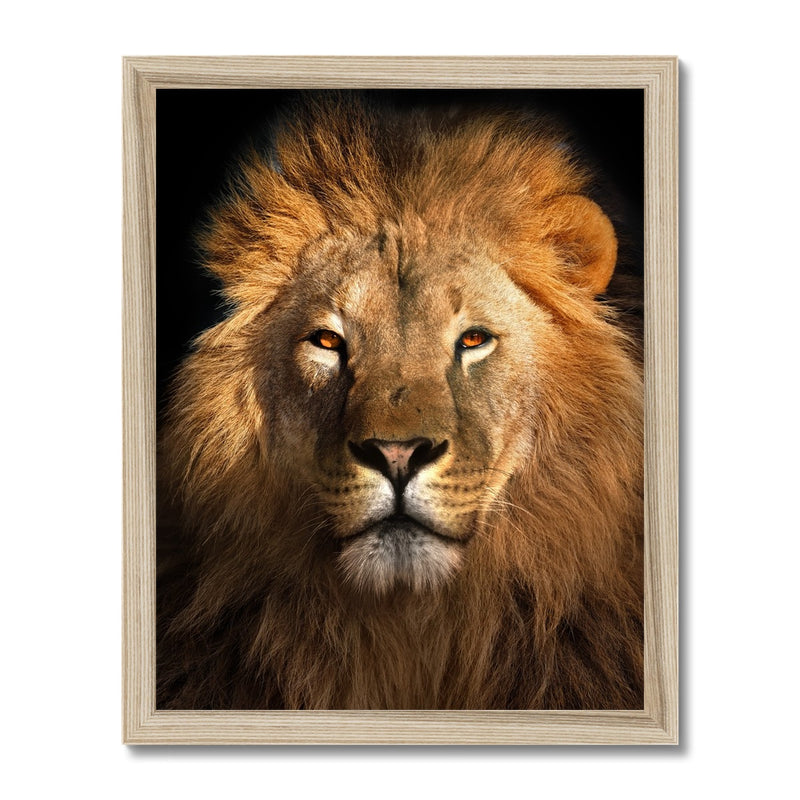 The Mighty  Framed Print