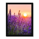 Serene Sun Framed Print