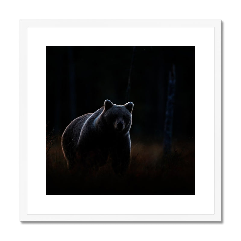 In The Shadows Framed & Mounted Print