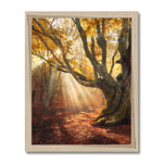 Falls Touch Framed Print