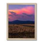 Easy Pastures Framed Print