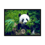 Hungry Giant  Framed Print