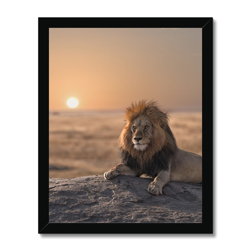 Calm Sun  Framed Print