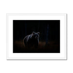 In The Shadows Framed & Mounted Print