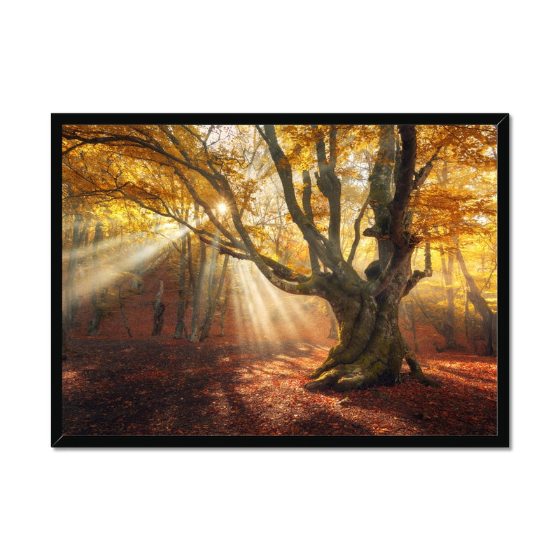 Falls Touch Framed Print