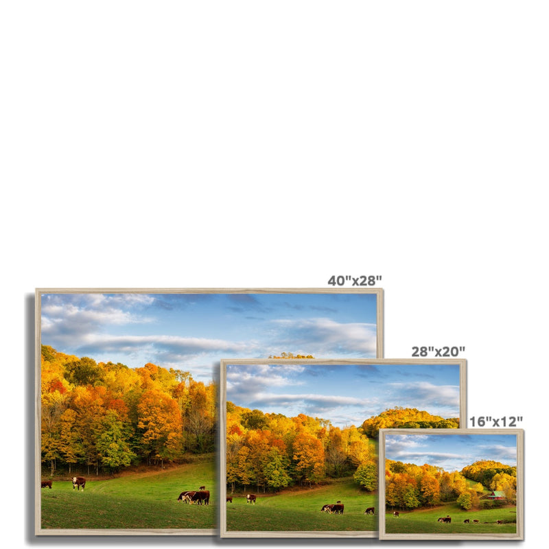 Autumn Appalachian Framed Print