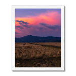 Easy Pastures Framed Print