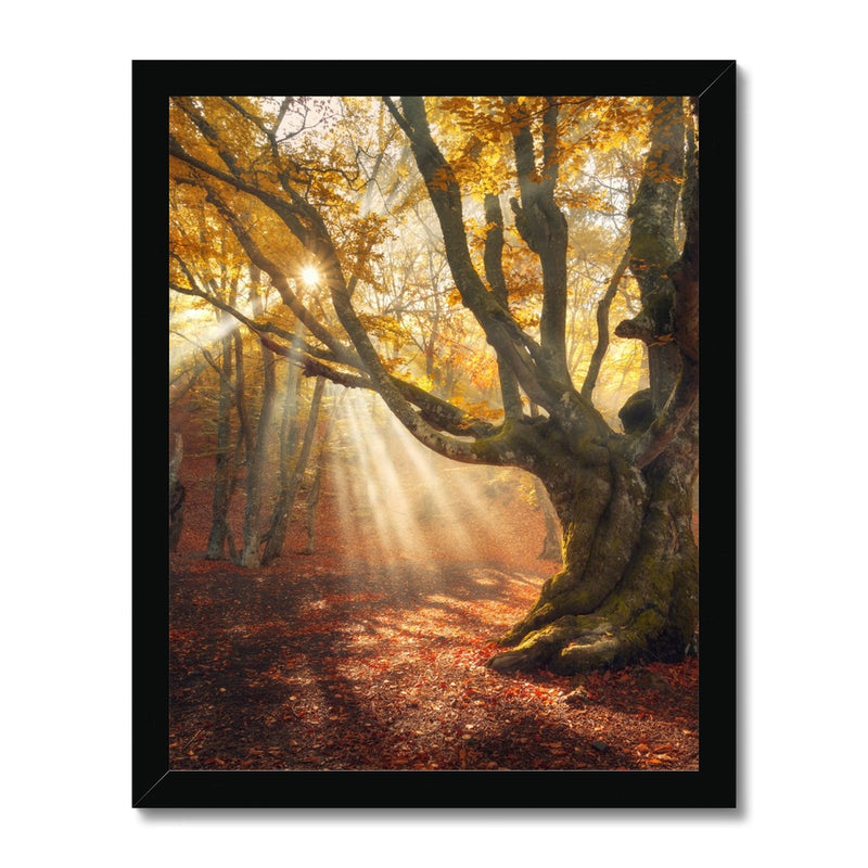 Falls Touch Framed Print