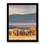 The Family Framed Print