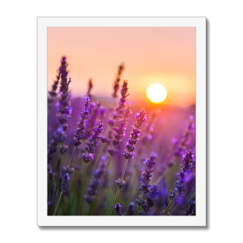 Serene Sun Framed Print