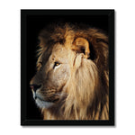 The Mighty Glance Framed Print