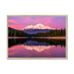 California Dreaming  Framed Print