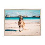 Beach Hopper Framed Print