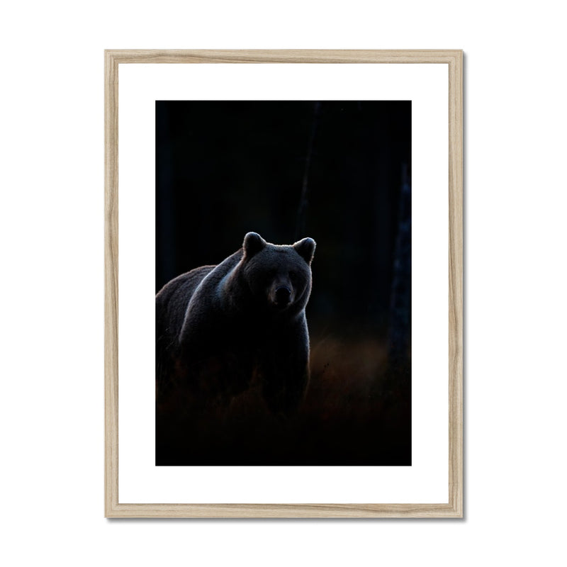 In The Shadows Framed & Mounted Print