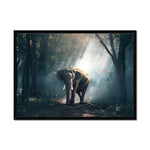 Sunlight Forest Framed Print