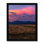 Easy Pastures Framed Print