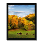 Autumn Appalachian Framed Print