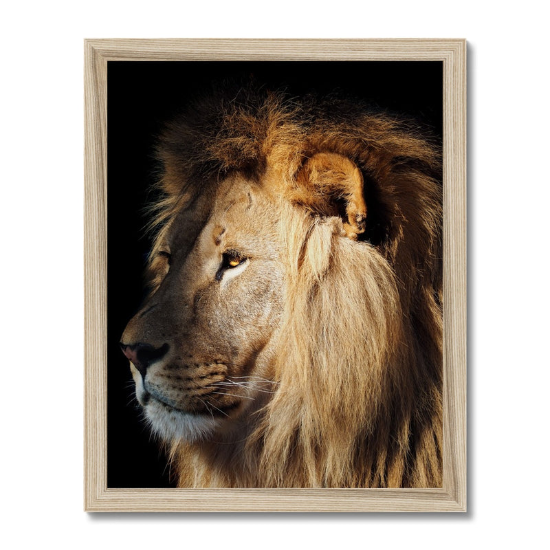 The Mighty Glance Framed Print