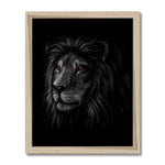 Royal  Framed Print