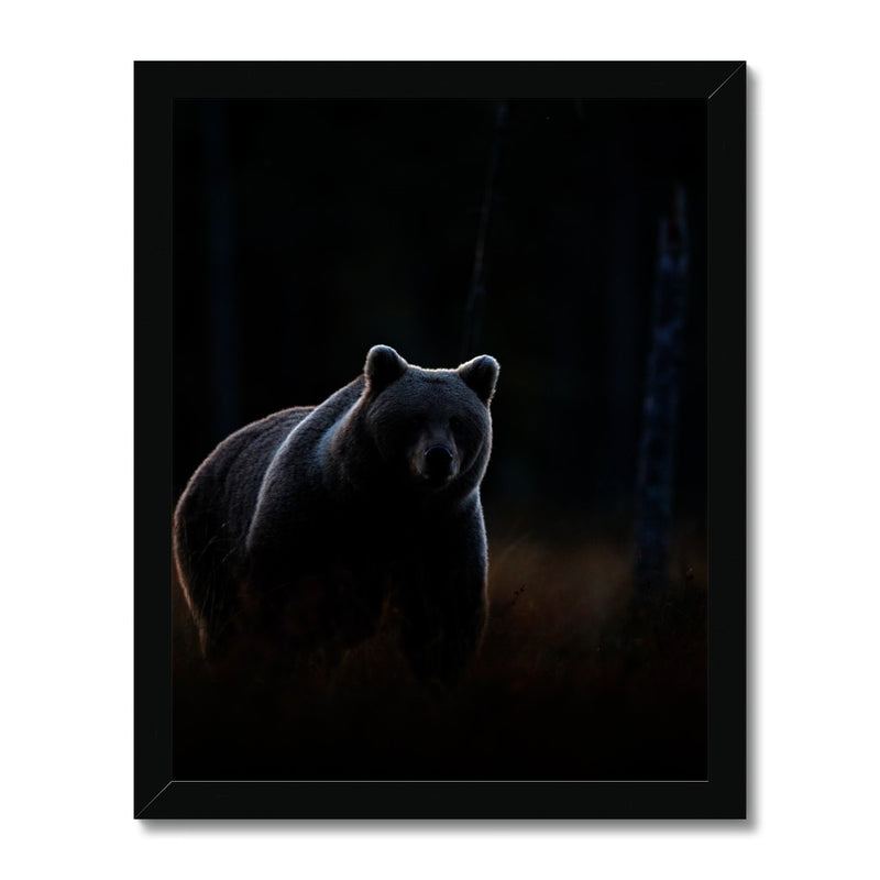 In The Shadows Framed Print