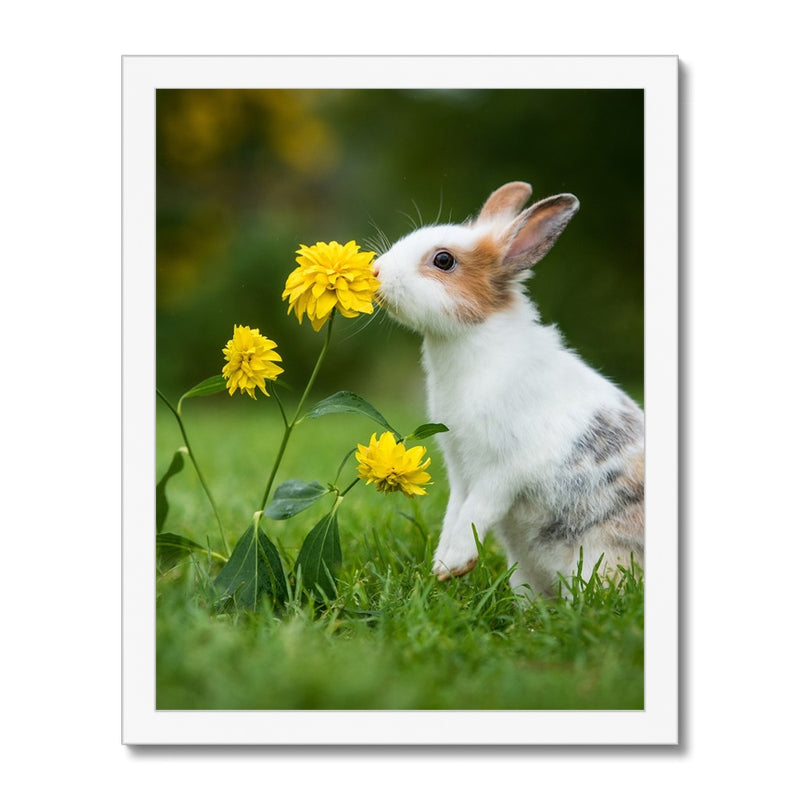 Grateful Scent Framed Print