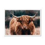 Highland Fur Framed Print