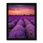 Deep Dreams Framed Print