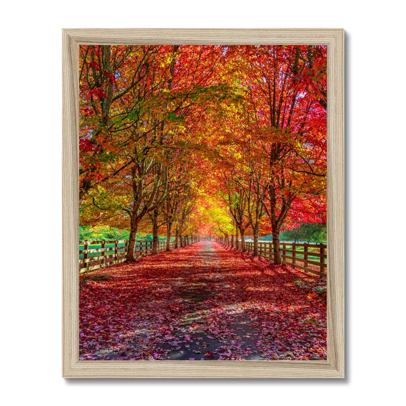 Harvest Journey Framed Print