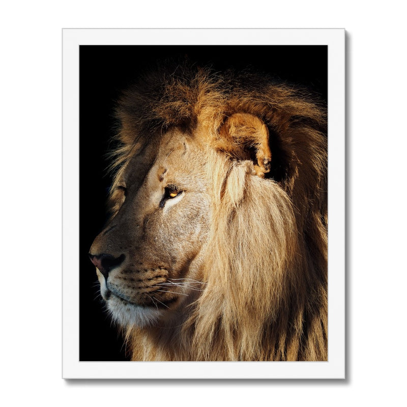 The Mighty Glance Framed Print