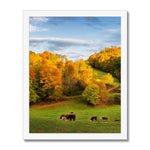 Autumn Appalachian Framed Print